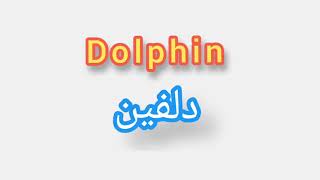 '' Dolphin  ..  ترجمة كلمة انجليزية الى العربية - '' دلفين
