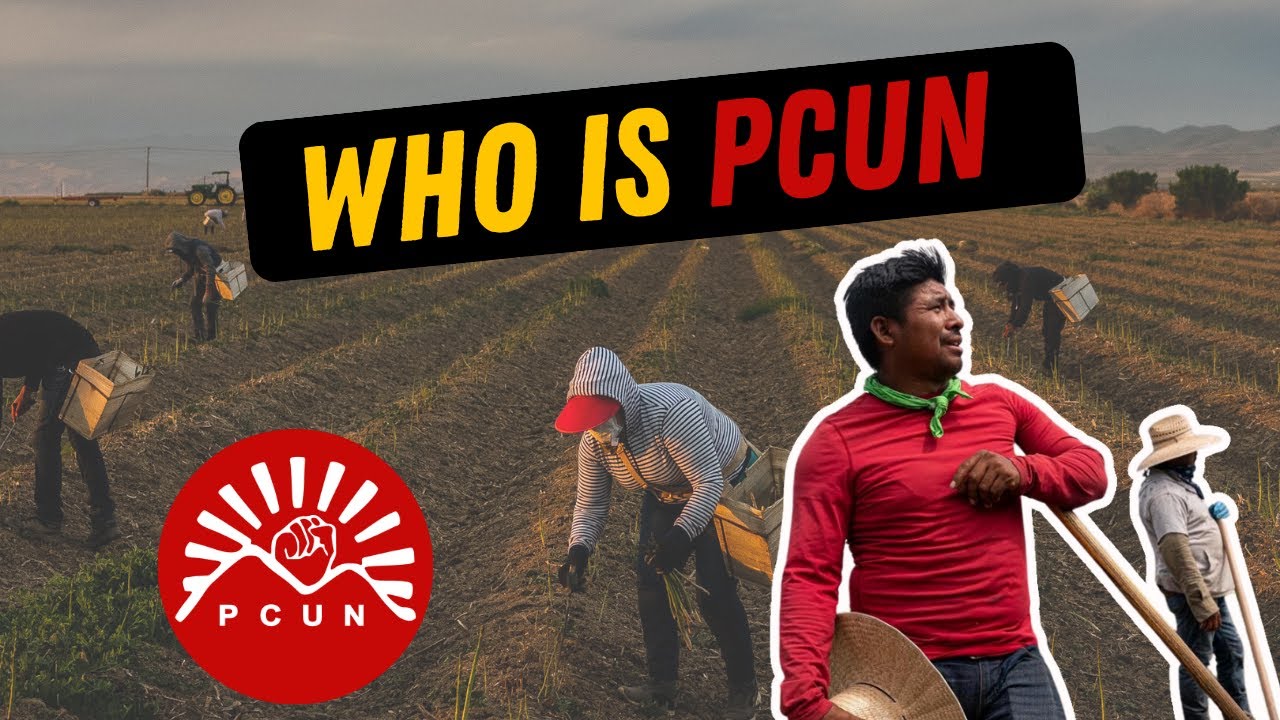 WHO IS PCUN