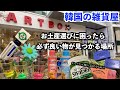 【韓国旅行