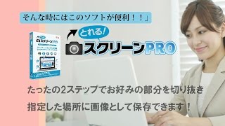 とれる スクリーンpro 便利なスクリーンキャプチャーソフト 株式会社ging