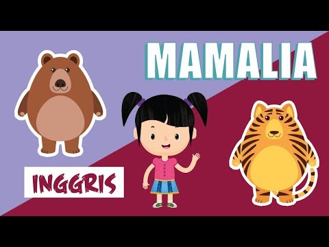Belajar Mengenal Nama Nama Hewan Mamalia Dalam Bahasa Inggris