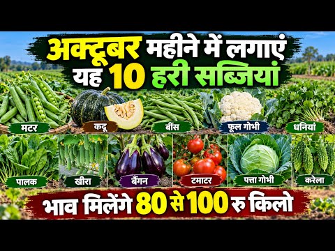 October mahine me kaun si sabjiyan lagaen🌱अक्टूबर में लगाई जाने वाली सब्जियां लगाएं🌱अगेती सब्जी खेती