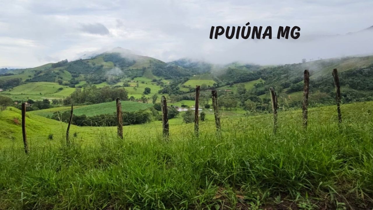 Ipuiúna MG - Passeio da Rota 408 pelo Estado de Minas Gerais - 16° Temp - Ep 39