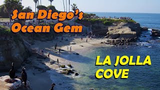 This Is Why Everyone Visits La Jolla Cove!