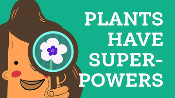 EU H2020 ITN PlaMatSu: Plants Have Superpowers
