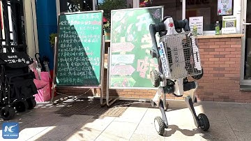 Robot friends initiate fun first day at Zhejiang University