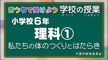 小学6年mp3