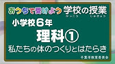 小６年 理科 人や他の動物の体 学習支援サイト ひろしまっ子学びの広場 Youtube