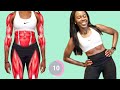 CARDIO WORKOUT to Burn Fat | Standing Only - Home Workout