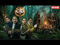 ডাইনিরা জঙ্গলে সিআইডি দলকে বলি দেয় || CID BANGLA  || NEW EPISODE
