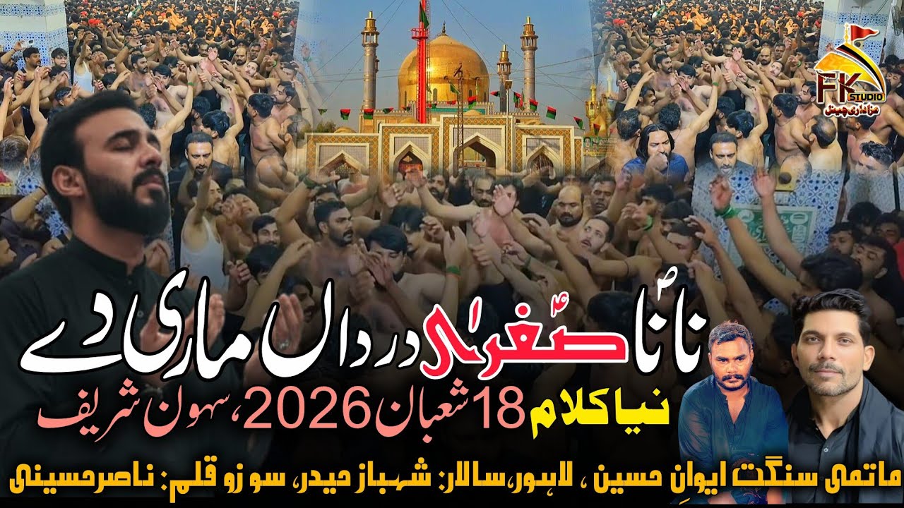 Nana Sughra Dardaan Mari De | 18 Shaban 2026 Sehwan Sharif | Matami Sangat Aiwan e Hussain #fkstudio
