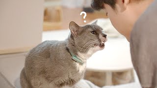 휴지와 남집사의 사이는 어떤지 궁금하신가요?