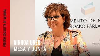 Ainhoa Unzu | Conclusiones de la Comisión de Investigación