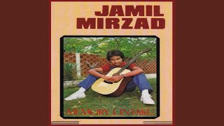 AKU TETAP MENANTIMU - Jamil Mirzad
