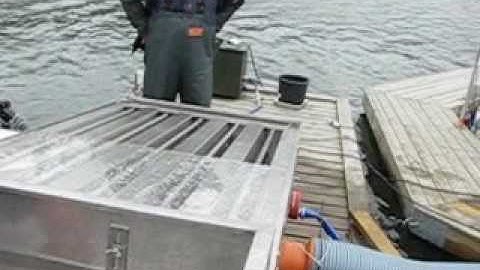 Grading Perch - part 2