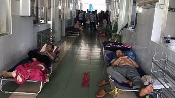 Bình Phước : Hàng trăm người bị ngộ độc thực phẩm sau tiệc cưới do vi khuẩn E.coli | N News  |