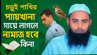 চড়ুই পাখির পায়খানা লাগলে নামাজ হবে কিনা মুফতি হুমায়ুন কবির ভোলাবি|| Allama waz