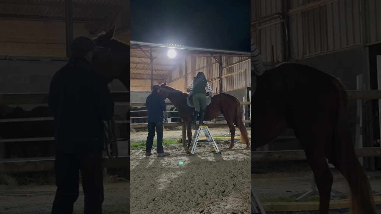 D&eacute;bourrage de ma petite jument &Eacute;toile, partie 1 sur 3 🐴 #poney #cheval #animaux #equitation