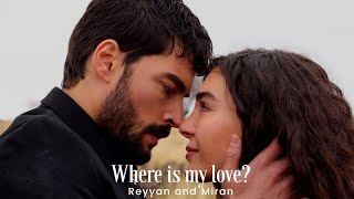Reyyan and Miran || Where is my love?