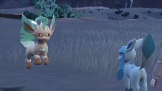 What is leafeon trying to say?