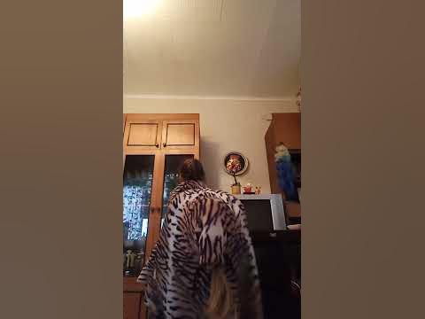 #малитол пони - YouTube