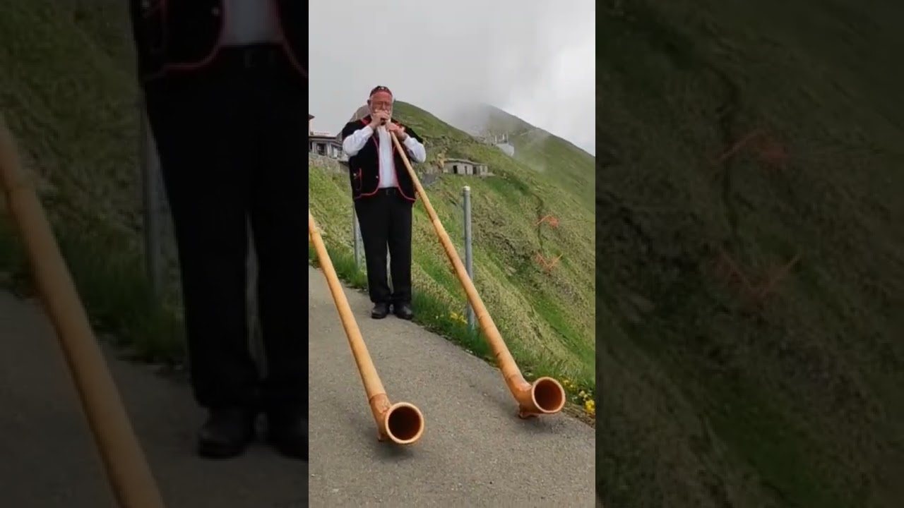 Traditional Swiss 🇨🇭 musical instrument "Alphorn"
