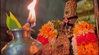 Sri Ranganatha #perumal -#srirangam #divyadesam #vaikuntaekadasi2023 #margazhi #namperumal #sriram