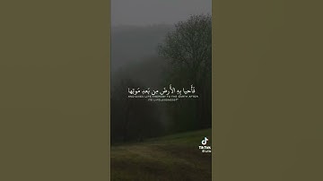 ولئن سألتهم من نزل من السماء ماء تلاوة خاشعة || للقارئ عبدالرحمن مسعد