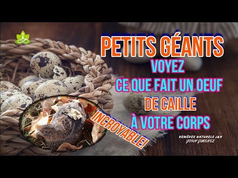 Vidéo: Les Propriétés Curatives Des œufs De Poule