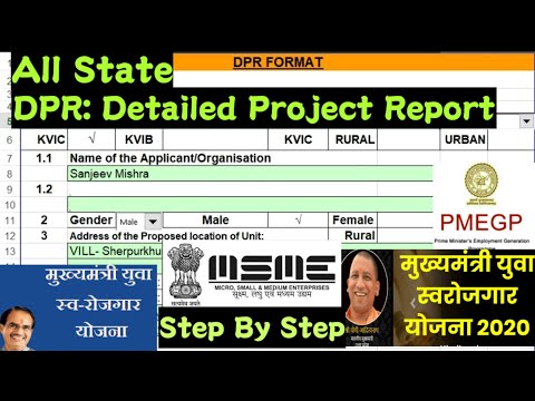 NEW DPR: Detailed Project Report/ALL STATE/STEP BY STEP/PMEGP/MSME/MSY