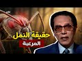 د مصطفى محمود يكشف لك عالما مدهشا داخل حياة النمل ست غي ر نظرتك بعد هذا الفيديو 