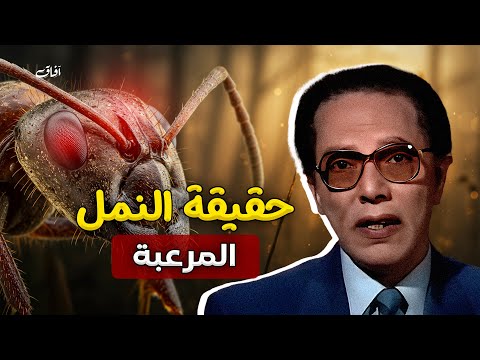 د مصطفى محمود يكشف لك عالما مدهشا داخل حياة النمل ست غي ر نظرتك بعد هذا الفيديو