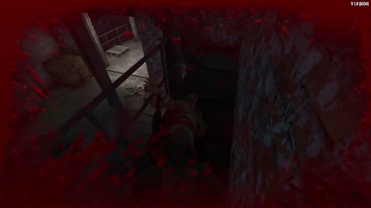 Suzie VS. The Spider .... Guess who won!! 