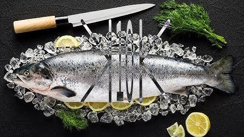 compressed into 10 seconds - How To Basic - How To Skin and Debone a Fish