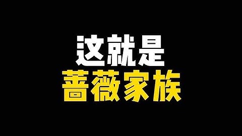 【使命召唤手游】蔷薇刺客到底有多少皮肤，大肘子必备@YY陪玩护航俱乐部 #使命召唤手游 #使命老鹰