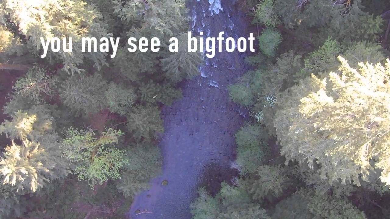 bigfoot in Oregon caught by drone at Fall Creek