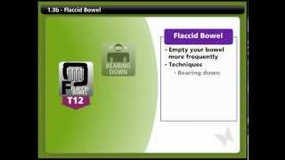 Bowel 1.3B - Flaccid Bowel