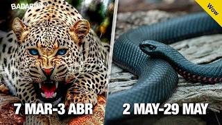 Mira cómo tu fecha de nacimiento controla tu personalidad