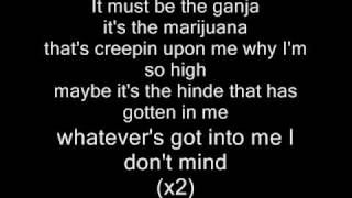 Video thumbnail of "Eminem-Must be the ganja Lyrics"