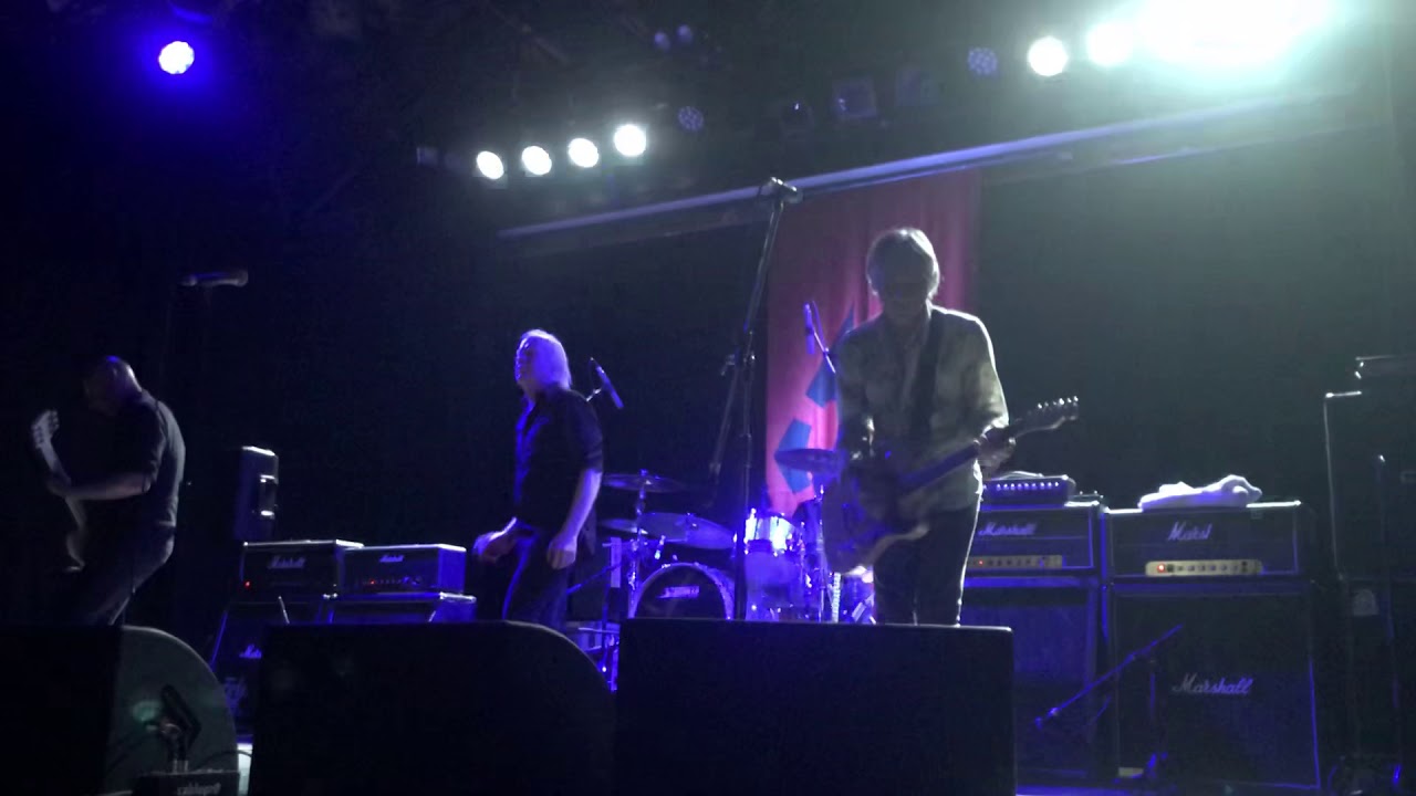 Radio Birdman Zeno Beach (live) YouTube