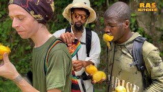 Mango Mountain! Hiking Mount Felix with Coppy, MJ & Darius