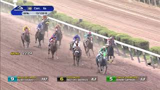 Vidéo de la course PMU PREMIO FILIBUSTERO