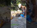 Live highlight | বাড়ির ছাদ বাগান পরিচর্যা , Roof cleaning work, @Aflutemaker