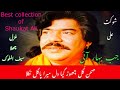      جب بہار آئی تو صحرا کی طرف غزل چھلا سیف الملوک