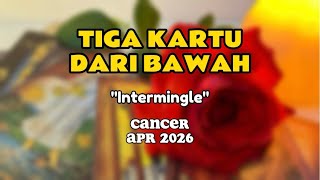 Intermingle || CANCER || APR'26