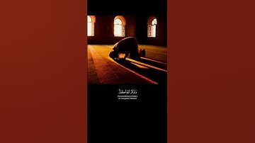 « إِنَّ الصَّلَاةَ تَنهَى عَنِ الْفَحْشَاءِ والمُنكَرْ » تلاوة خاشعة للقارئ عبدالرحمن مسعد 💜🎧