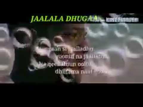 Walaloo Jaalala Dhugaa Itti Bo Aara Sher Monsuur Tube