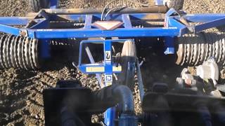 Rolling the winter wheat