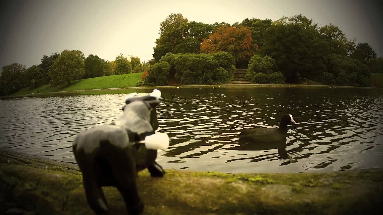 Ali Ingle - Ribcage [Official Music Video]