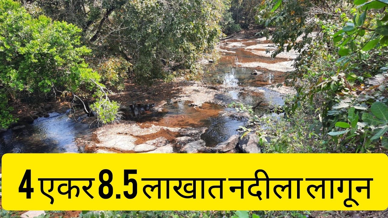 (Sold Out )कोकणात नदीला लागून ४ ऐकर फक्त ८.५० लाखात